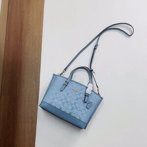 Coach MOLLIE 25 Shoulder Bag